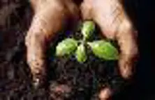 https://cdn.turkishexporter.com.trBEST SLUDGE