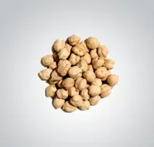 Pulses - Chickpea