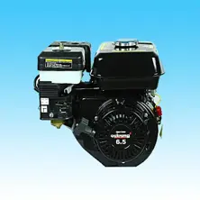 Gasoline Engine QST200