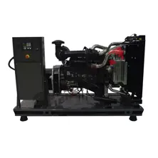 Diesel Generators - ALMFP 145