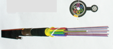 Fiber Optic Aerial Cable