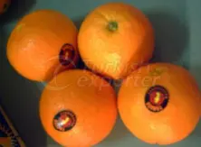 Fruits Orange