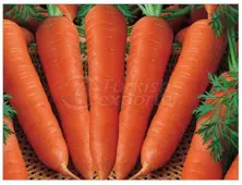 Zanahoria seca
