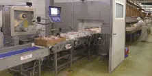 Gıda İşleme Makineleri