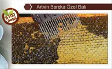 Especial Honey Artvin Borchka