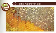 Karakovan Honey Bitlis