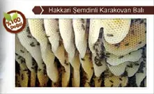 Karakovan Honey Hakkari Semdinli