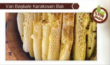 Karakovan Honey Van Baskale