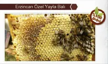 Especial Plateau Honey Erzincan