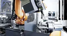 Robotic Cutting and Processing
