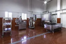 Cheese Production lIne