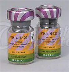 Alive Vaccine H-120 VH+H-120