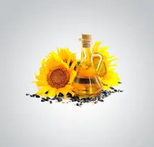 Vegetable Oils - Sunflower Oil