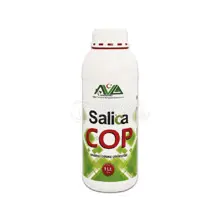 Salica Cop