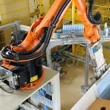 Robotic Packing and Boxing