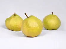 Deveci Pears Apple