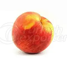 Fruits Peach