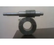 Worm Screw And Shaft