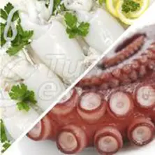 Octopus - Cuttlefish