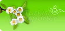 https://cdn.turkishexporter.com.tr/storage/resize/images/products/52358.jpg
