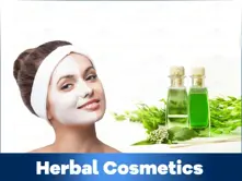 Herbal Cosmetic - Food - Oil Group