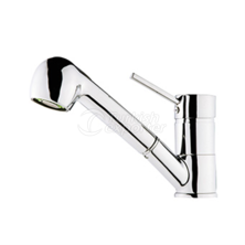 Sink Mixer With Pull-Out Spiral Spring Tap 119