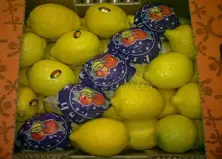 Fruits Lemons