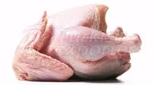 Halal Certified Chicken Meat