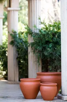 Terracotta Garden Pots (Flat Tapan)