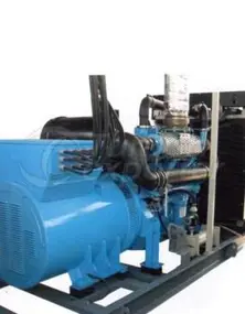 Generador - SGS 10-2200