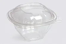 Salad Container