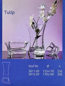 glass vaseTulip