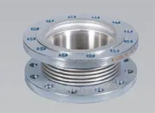 Expansion Fixed Flanges