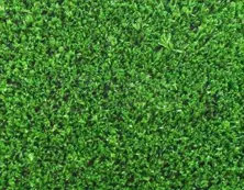 Kupon Grass Carpet