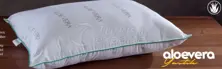 Aloevera Pillow