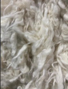 Wool 