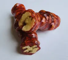 Pomegranate Grape Confection With Walnut