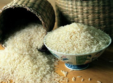 Tay Pirinç
