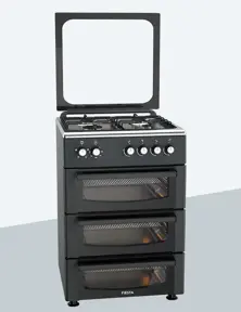 Free Standing Oven FT 66G4 SA