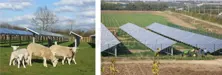 Fazenda Solar