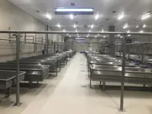 WHITE CHEESE PRODUCTION LINE