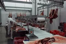 Meat Processing Unit