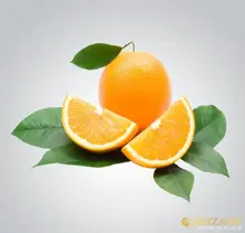 Fruits - Orange