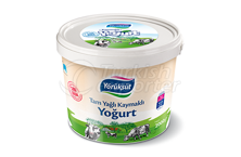 Full Fat Creamy Yoghurt