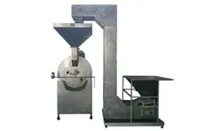 PUMPKIN SEEDS _ COFFEE ROASTING MACHINERY