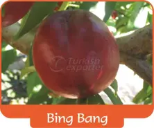Nectarine Bing Bang