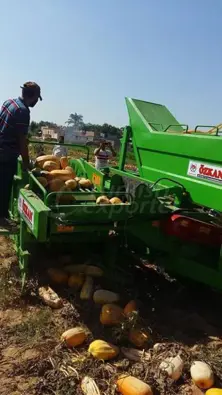 toplamı kabak hasat makinası
