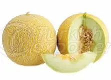 Melon Galla