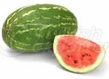Water Melon Tayt