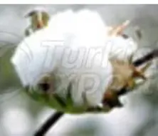 https://cdn.turkishexporter.com.tr/storage/resize/images/products/bc6e0ca0-8e15-4ec2-a017-c90ce5fcb5a8.jpg